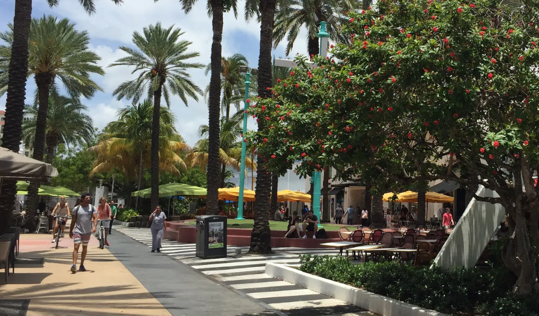 Lincoln Road Mall 5 Best Things to Do in Miami in 2024 (Part 4 of 5)